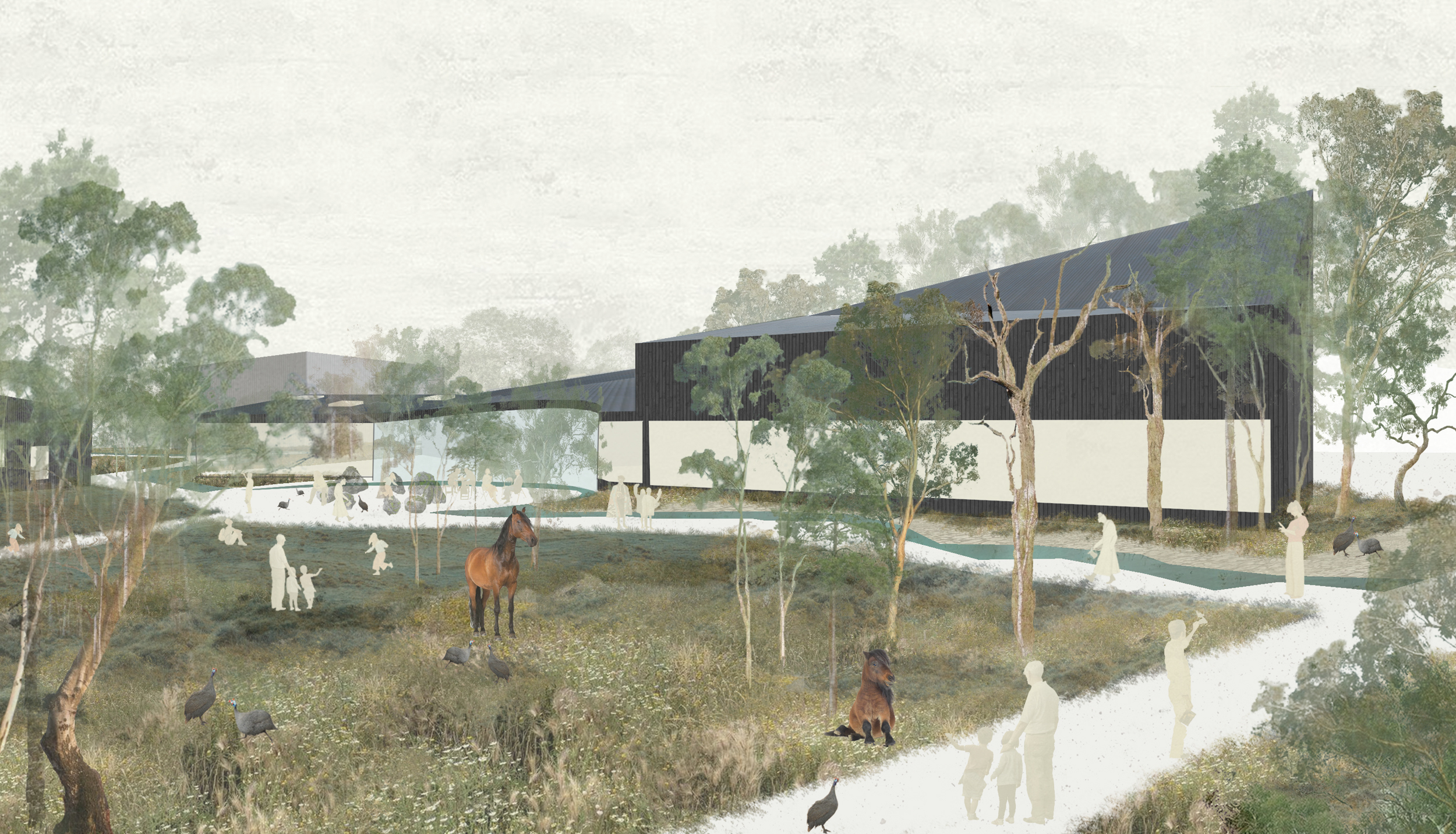 Collage render of design option concept | Cambridge architects CDC Studio