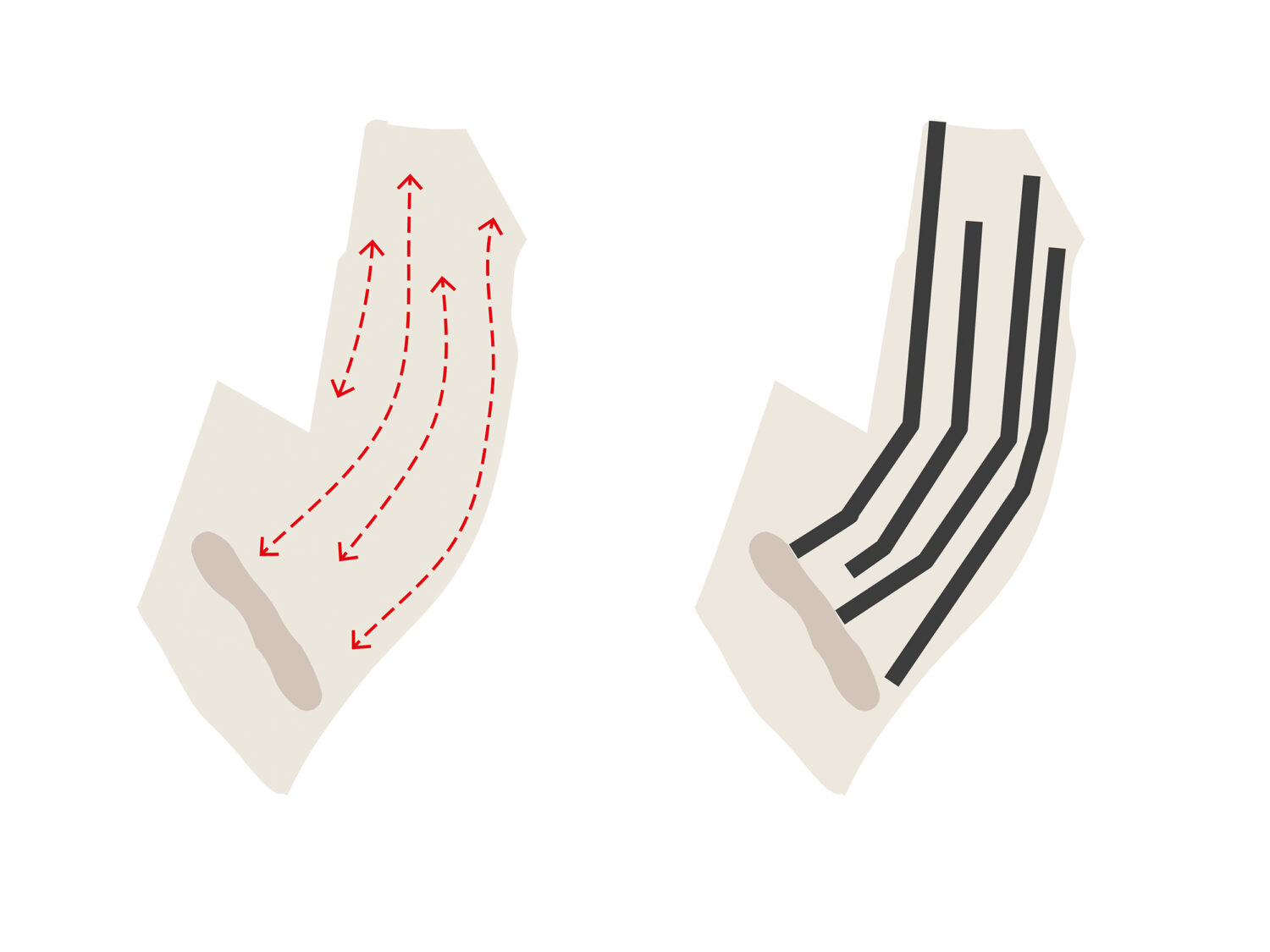 New District Centre Cdc Studio