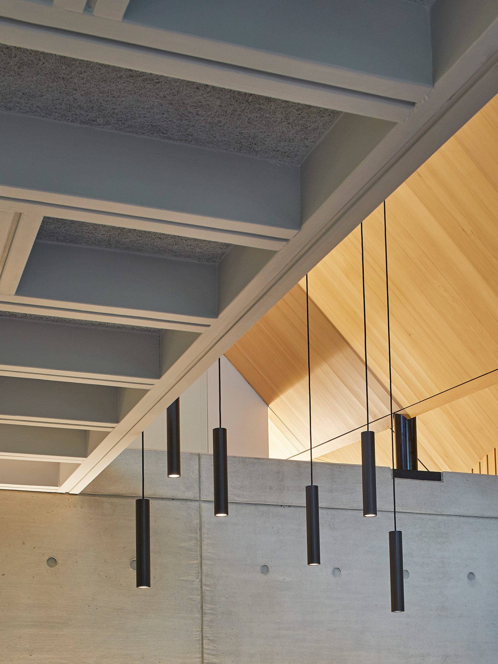 Lights from timber ceiling next to concrete wall in house | cdc studio cambridge architects