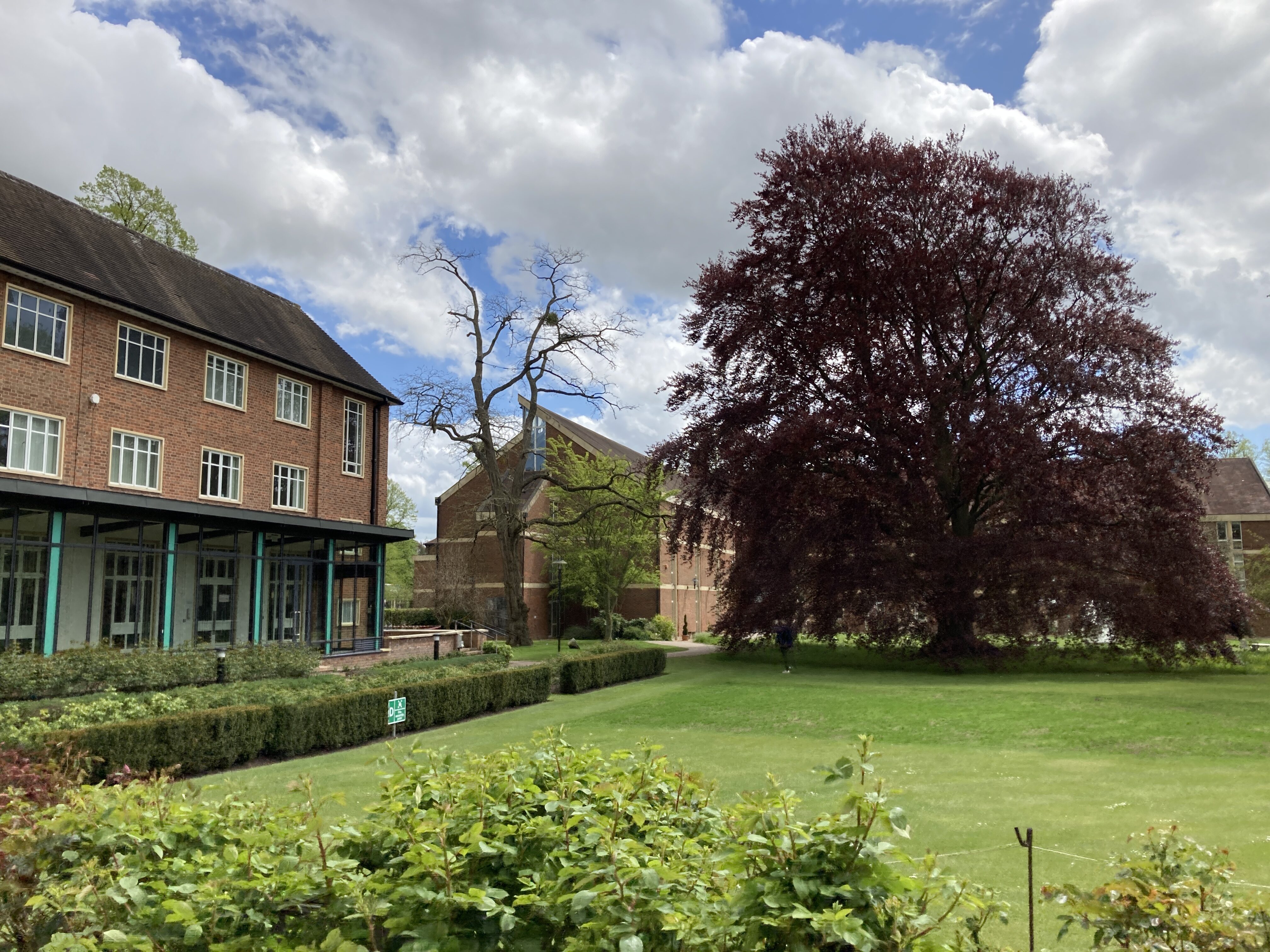 Homerton College trees and landscaped area.  | cdc studio cambridge architects