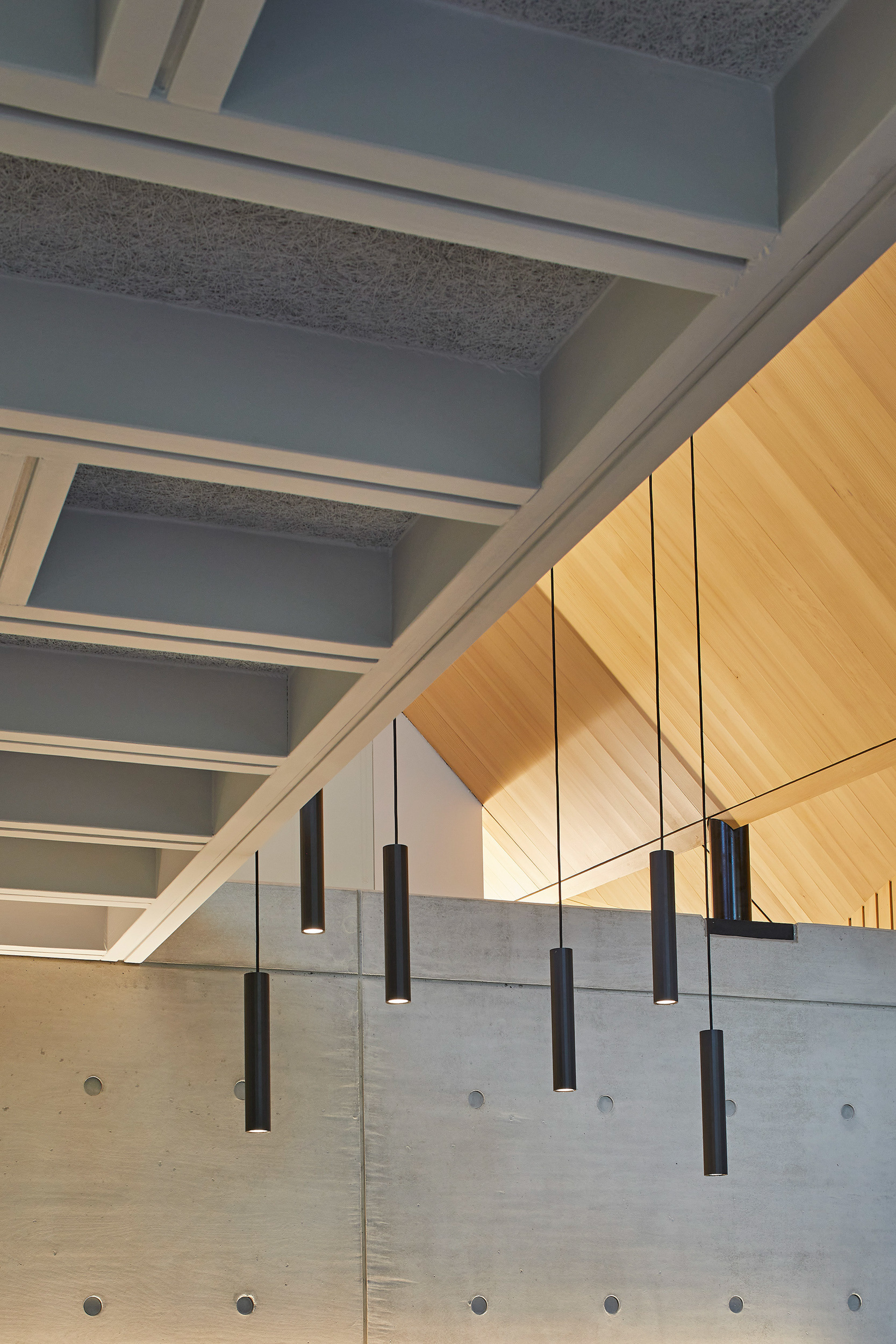 Lights from timber ceiling next to concrete wall in house | cdc studio cambridge architects