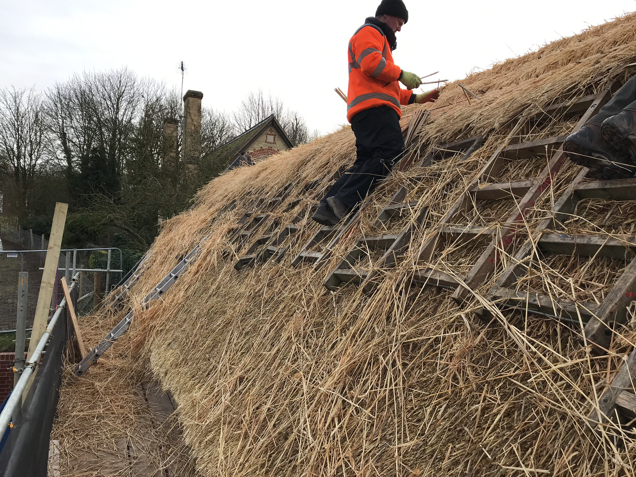 man thatching roof of Cambridgeshire barn | cdc studio cambridge architects