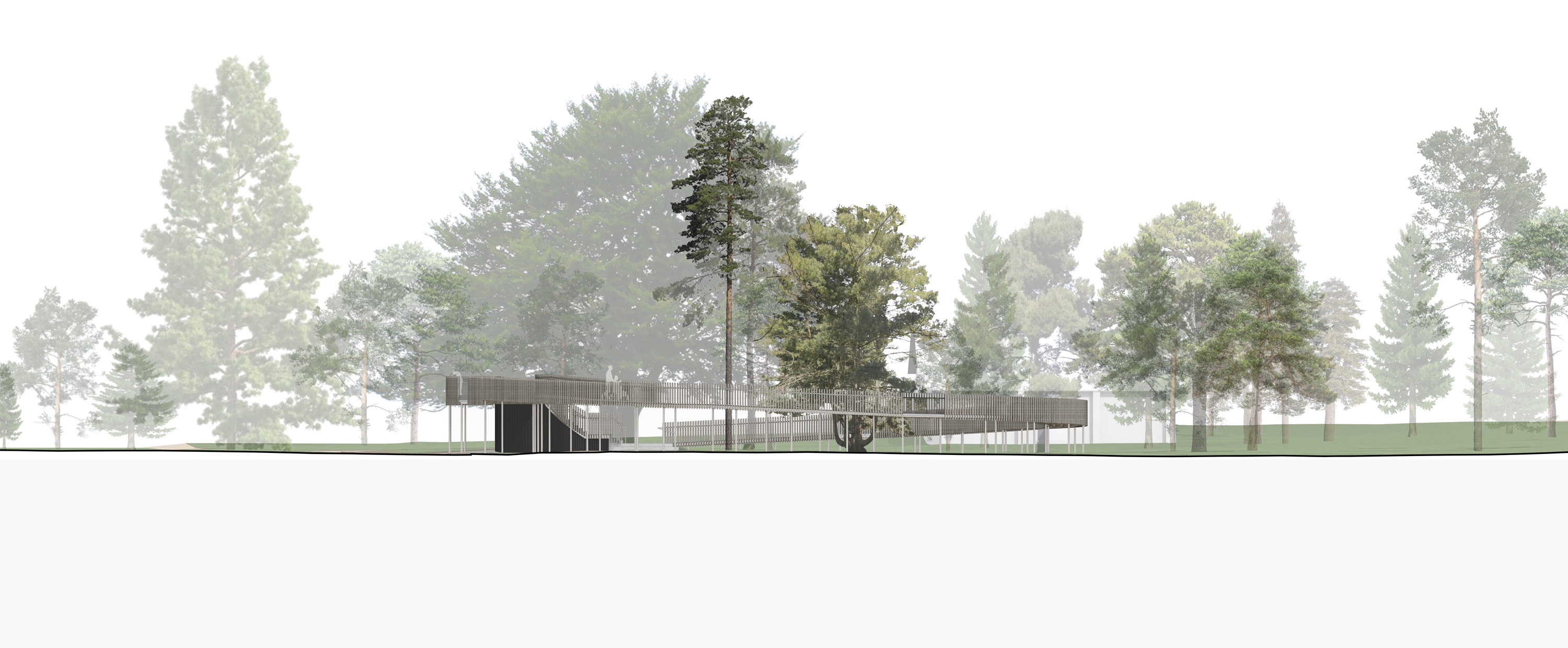 West elevation drawing of the Cambridge University Botanic Garden Rising Path by architects CDC Studio with trees in background