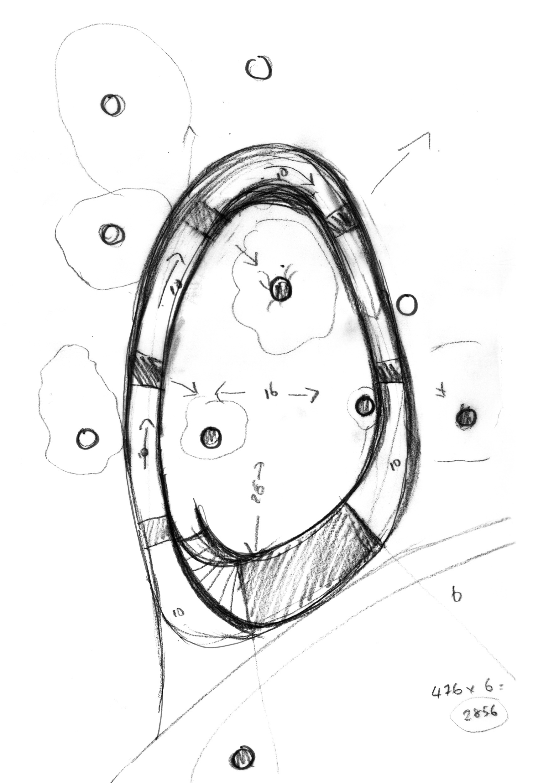Concept plan sketch of the Cambridge University Botanic Garden Rising Path by architects CDC Studio