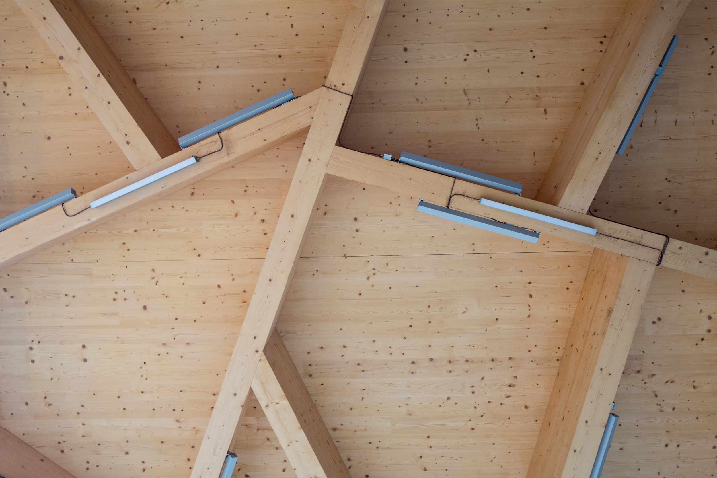 canopy ceiling at the stephen perse foundation | CDC Studio Cambridge architects