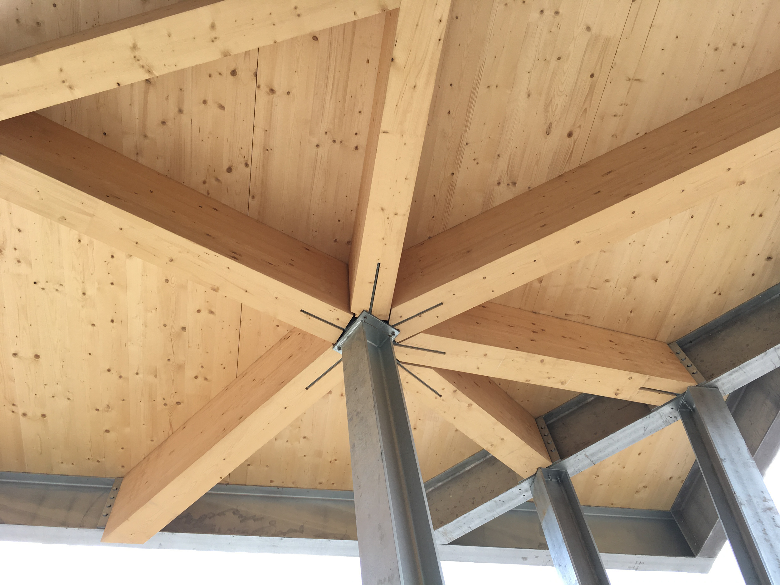 Connecting sections of timber make up a roof section in the sports learning school | CDC Studio Cambridge architects