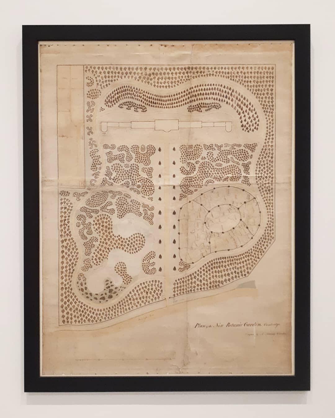 Old brown paper map of Cambridge University Botanic Garden by Andrew Murray | The Rising Path, by architects CDC Studio